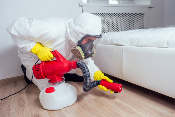 Best Affordable Pest Control Services  in Las Palmas Ii, TX